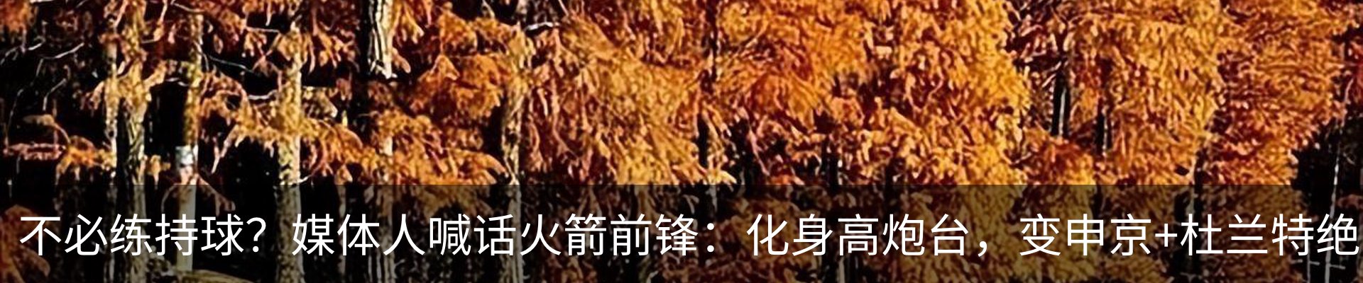 新闻动态