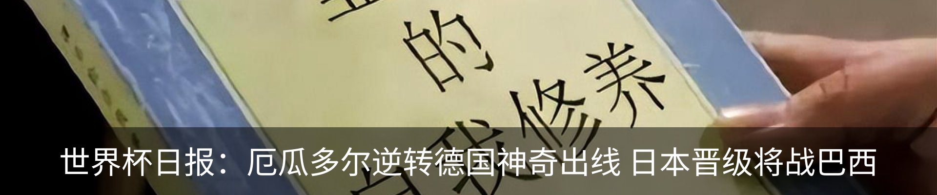 新闻动态