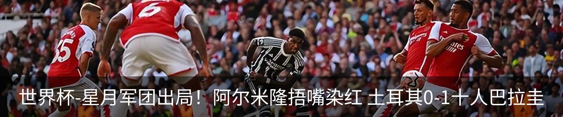 新闻动态