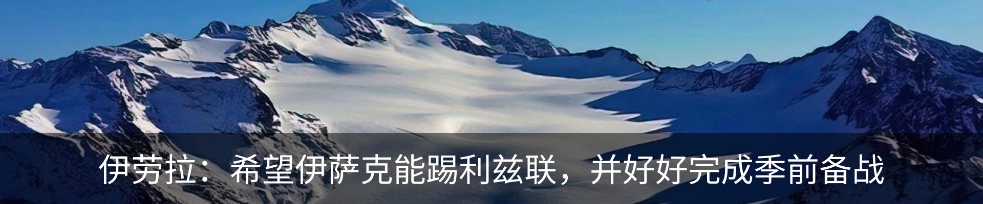 新闻动态