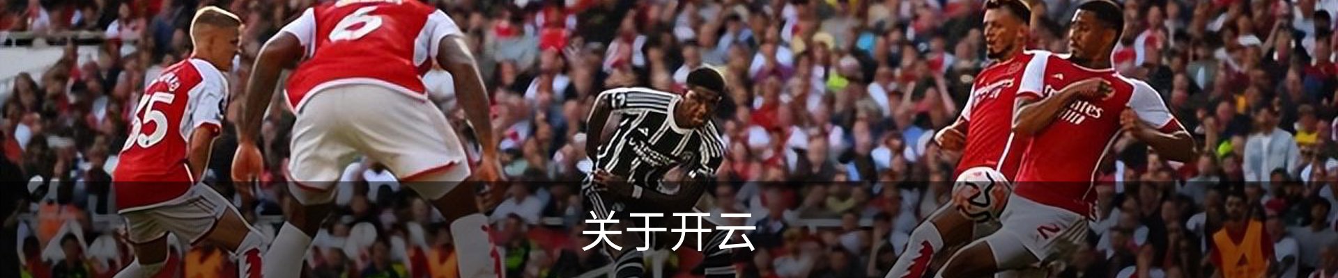 关于开云