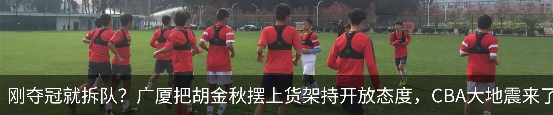 新闻动态
