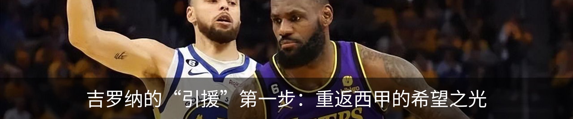 新闻动态