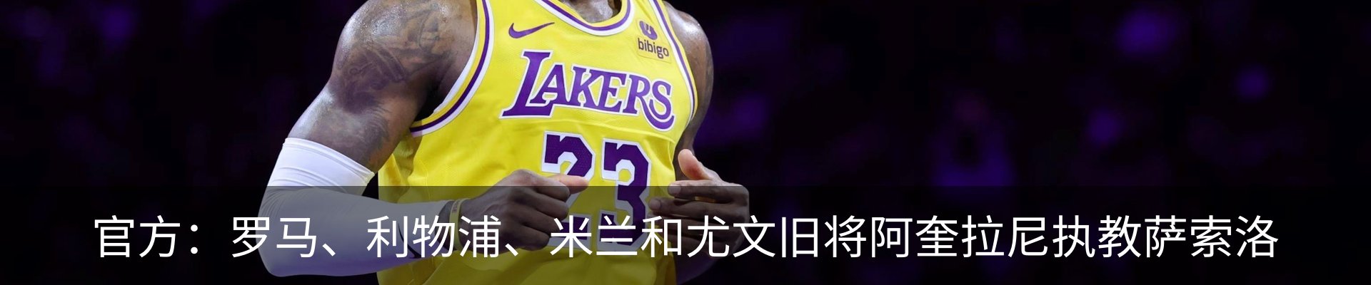 新闻动态