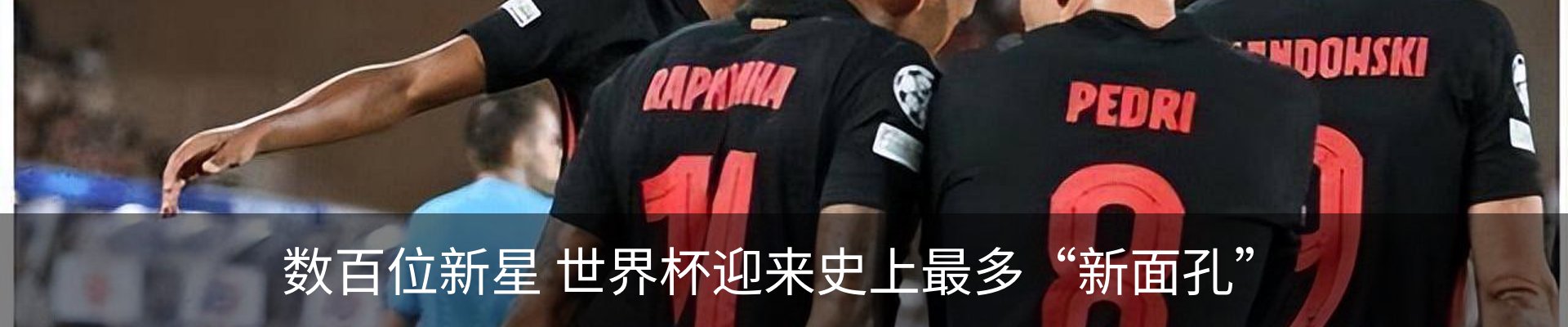 新闻动态