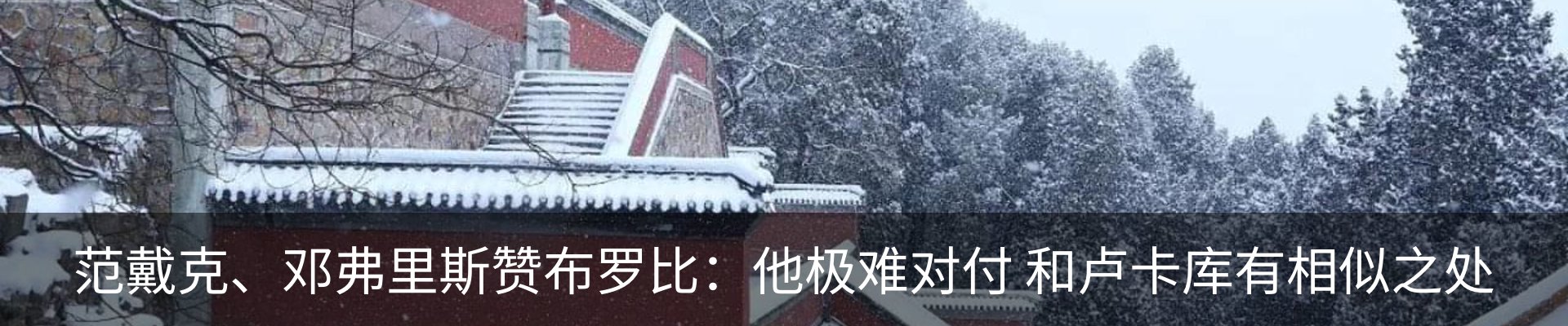 新闻动态