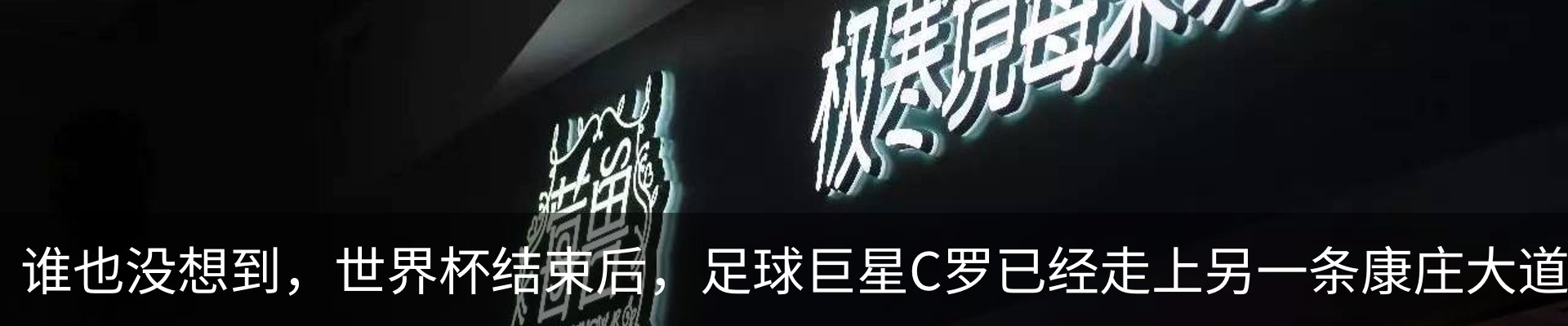 新闻动态