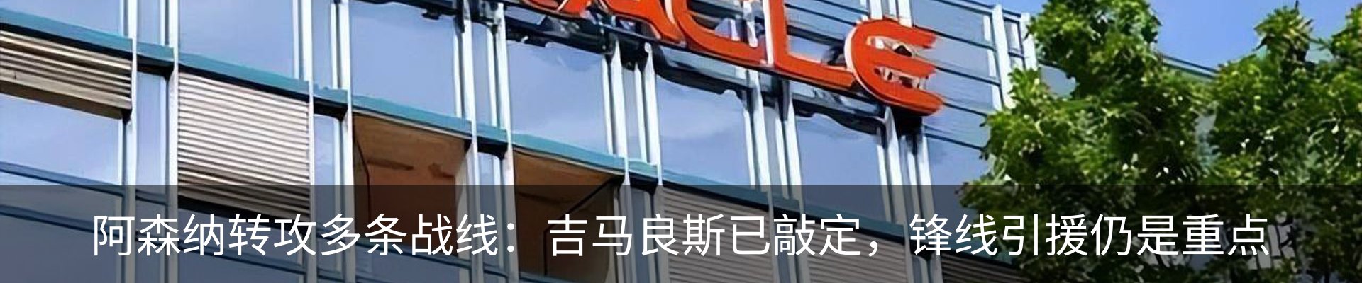 新闻动态