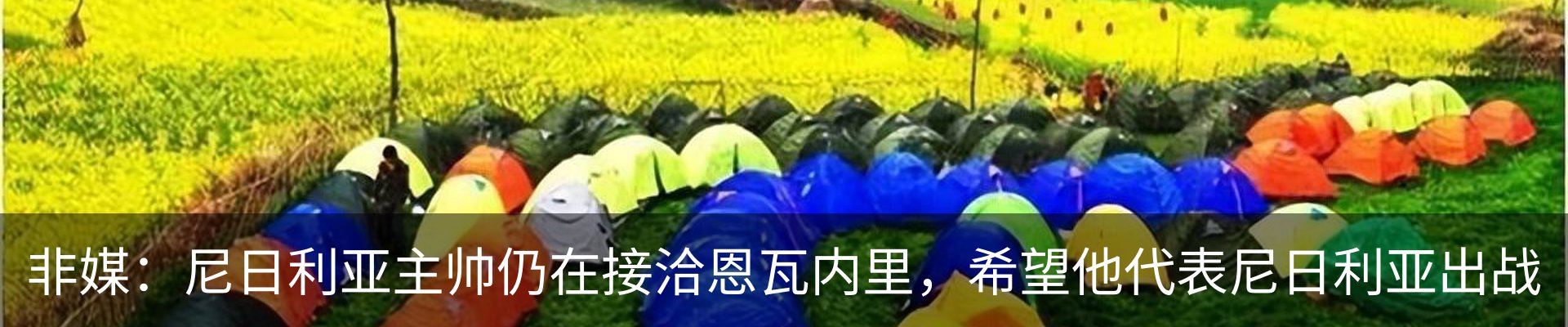 新闻动态