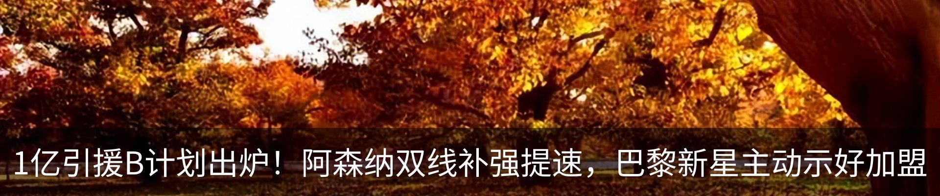 新闻动态