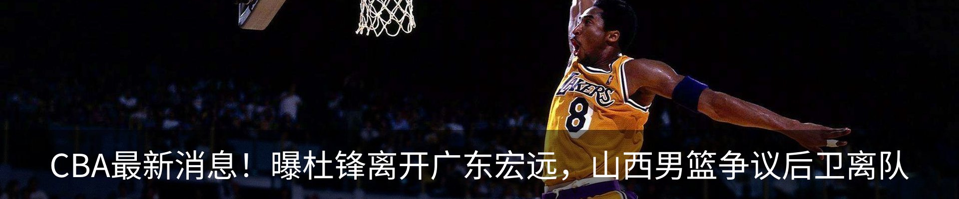 新闻动态